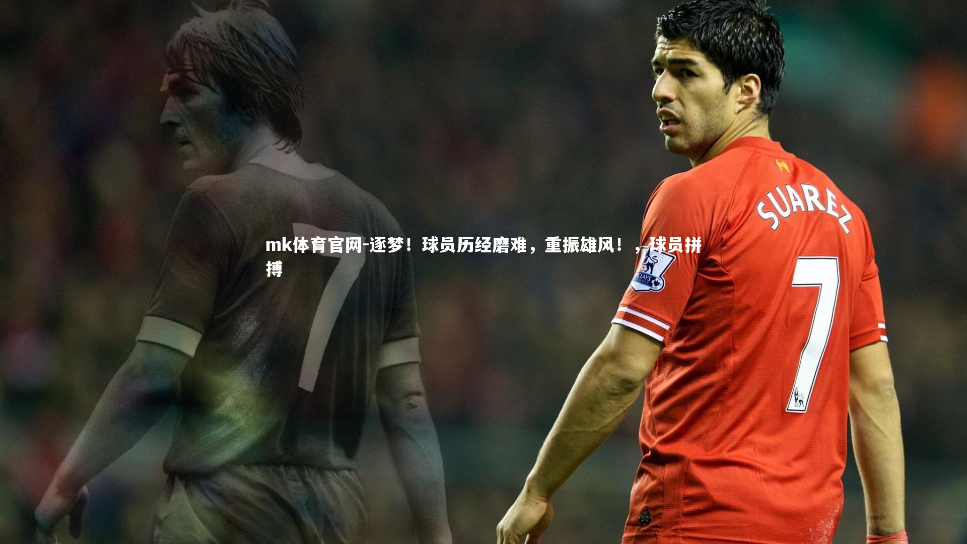 逐梦！球员历经磨难，重振雄风！，球员拼搏